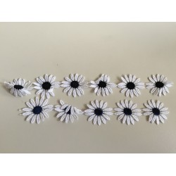 Δαντέλα Κηπούρ